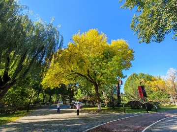 秋日公园小径风光