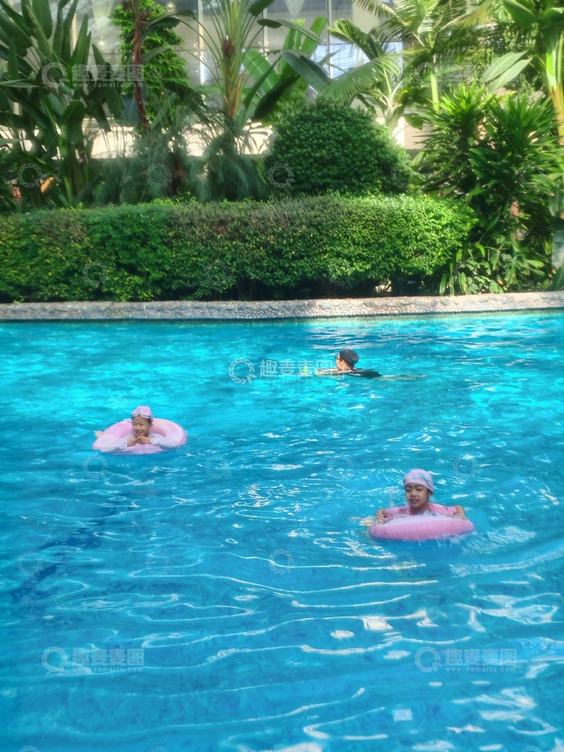 高清大图下载【趣麦麦图】夏日泳池嬉戏风光摄影图