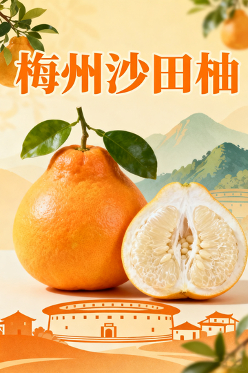 梅州沙田柚宣传海报
