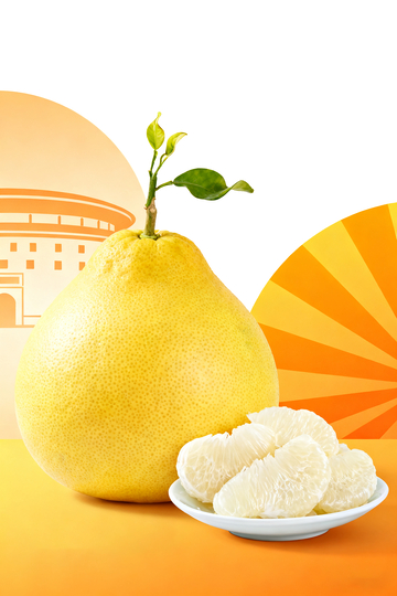 柚香四溢新鲜柚子宣传海报设计素材