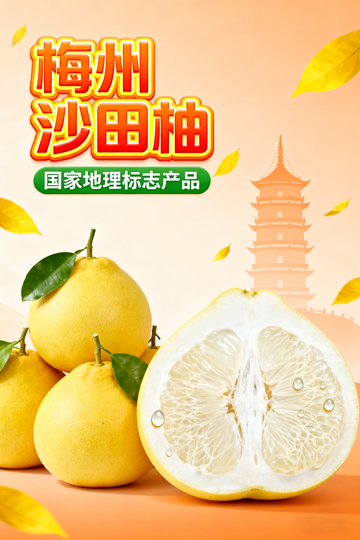 梅州沙田柚特产宣传海报