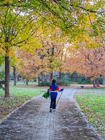 秋日公园漫步图