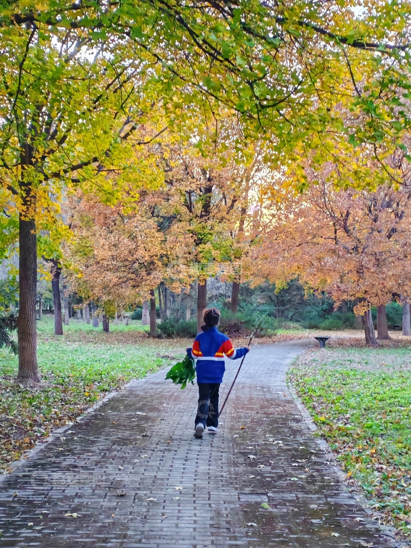 高清大图下载【趣麦麦图】秋日公园漫步图