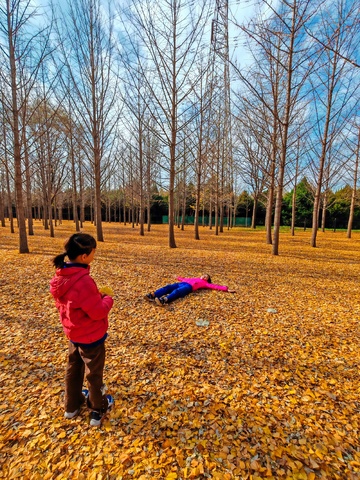 秋叶树林玩耍童趣