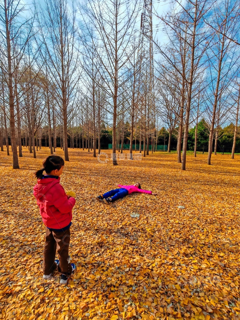 高清大图下载【趣麦麦图】-秋叶树林玩耍童趣