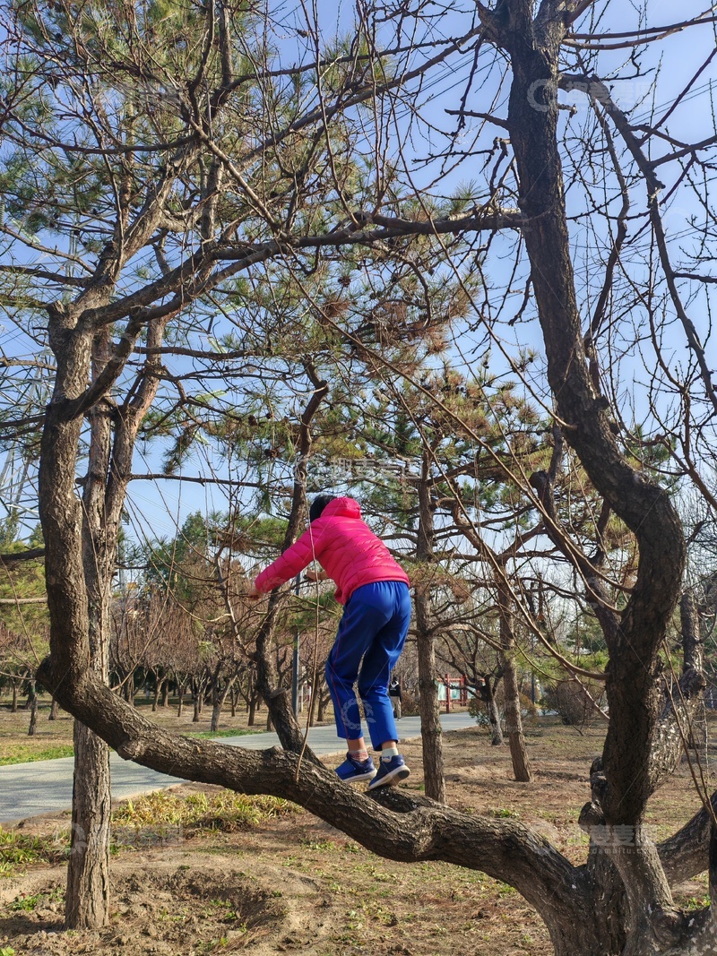高清大图下载【趣麦麦图】-公园儿童爬树玩耍
