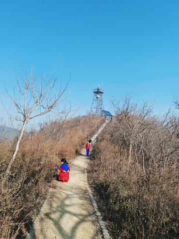 山路漫步冬日风光