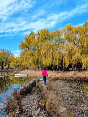 秋日湖畔漫步自然风光