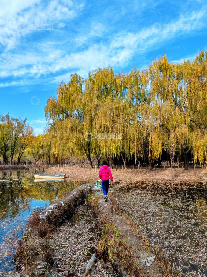 高清大图下载【趣麦麦图】秋日湖畔漫步自然风光