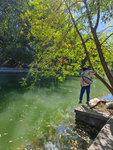 秋日湖畔赏景人
