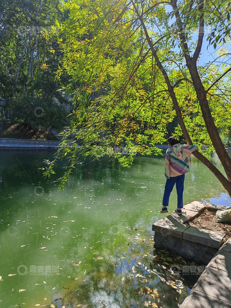 高清大图下载【趣麦麦图】秋日湖畔赏景人