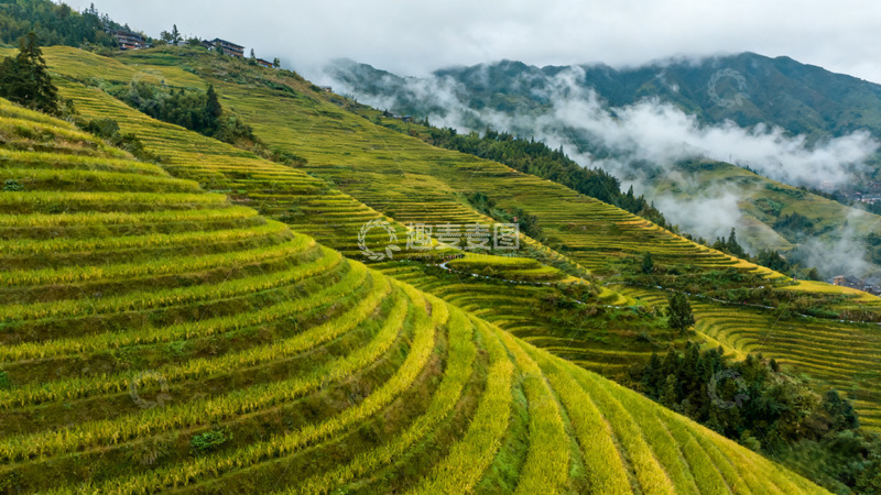 高清大图下载【趣麦麦图】梯田风光自然景色摄影图片