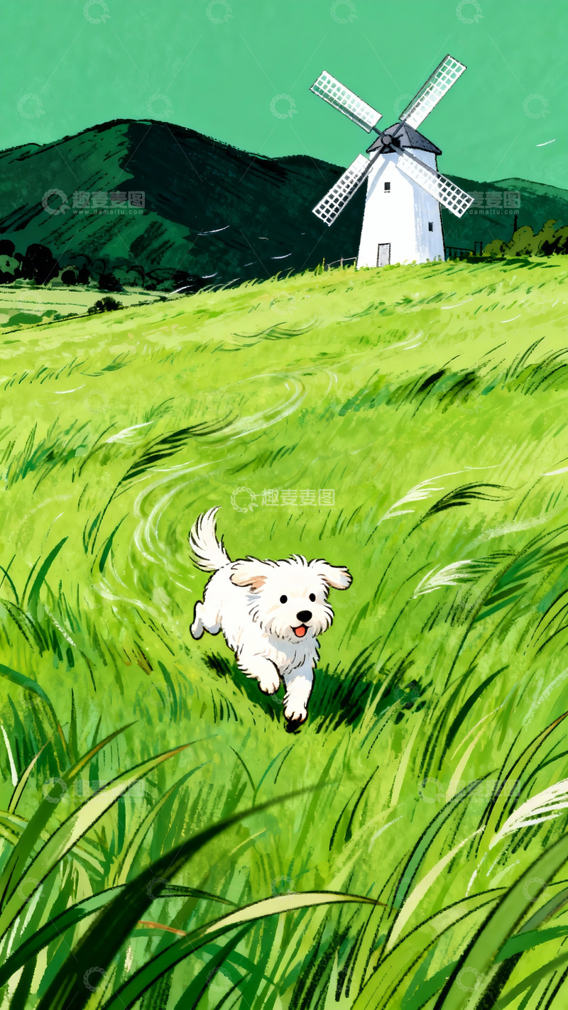 高清大图下载【趣麦麦图】青草地里追着风的小白犬