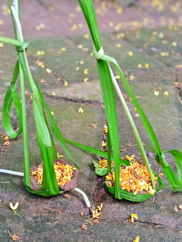 绿色植物与黄花装饰户外场景