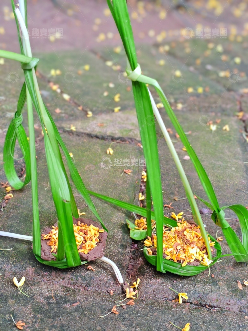 高清大图下载【趣麦麦图】绿色植物与黄花装饰户外场景