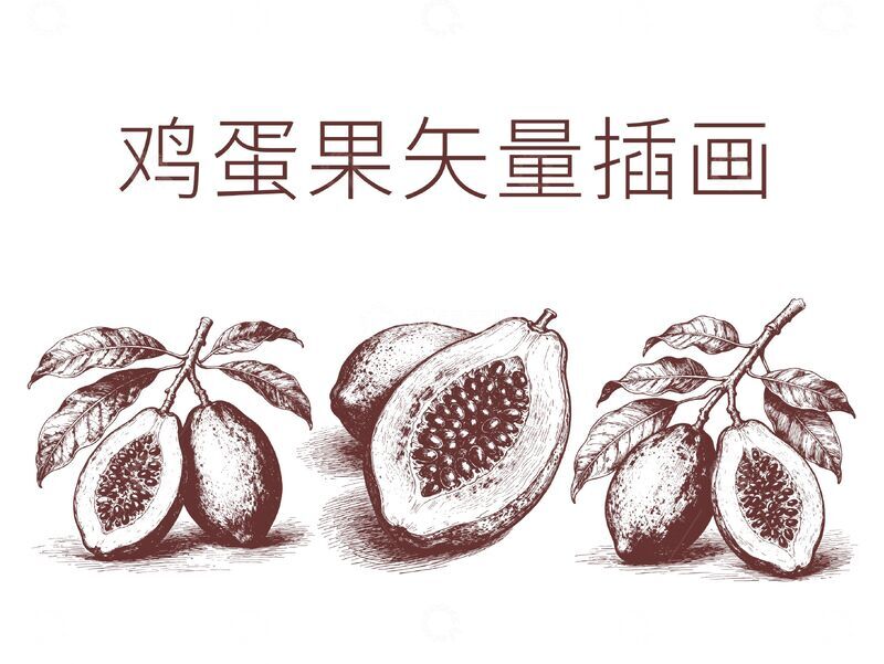 源文件下载【趣麦麦图】-鸡蛋果矢量插画