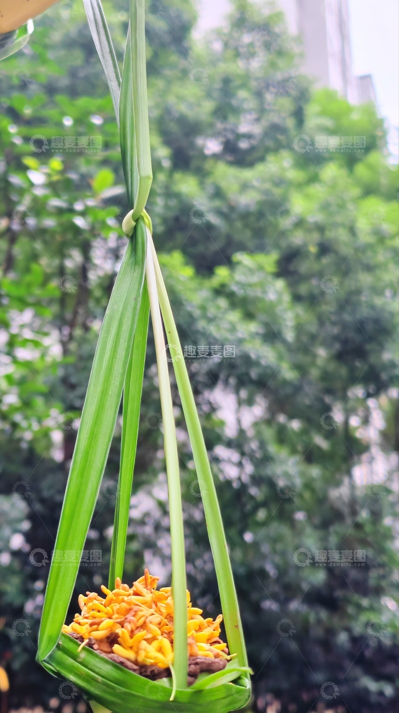 高清大图下载【趣麦麦图】绿编吊篮中的黄色美食
