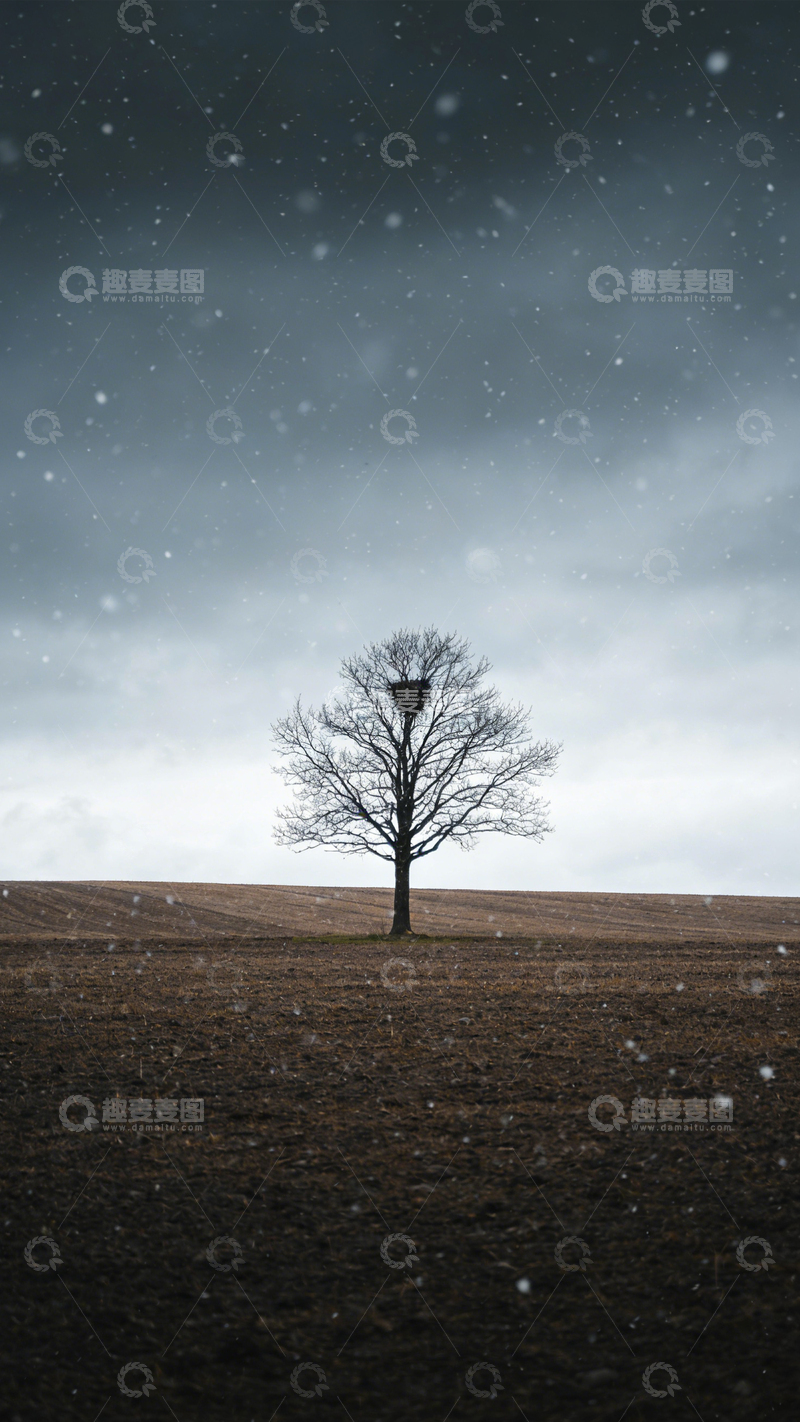 高清大图下载【趣麦麦图】-孤树雪巢荒原孤寂2