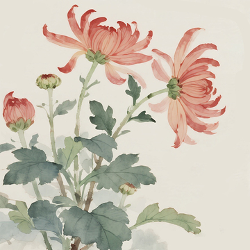 水彩菊花绘画作品