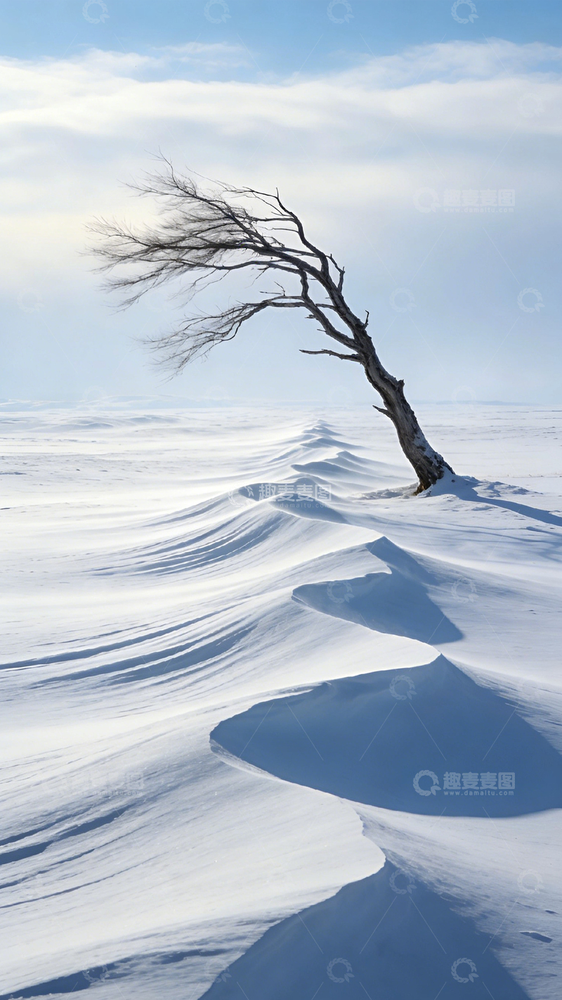 高清大图下载【趣麦麦图】雪野孤树寒风孤寂