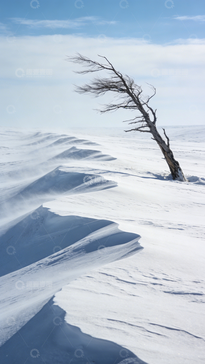 高清大图下载【趣麦麦图】雪野孤树寒风孤寂3