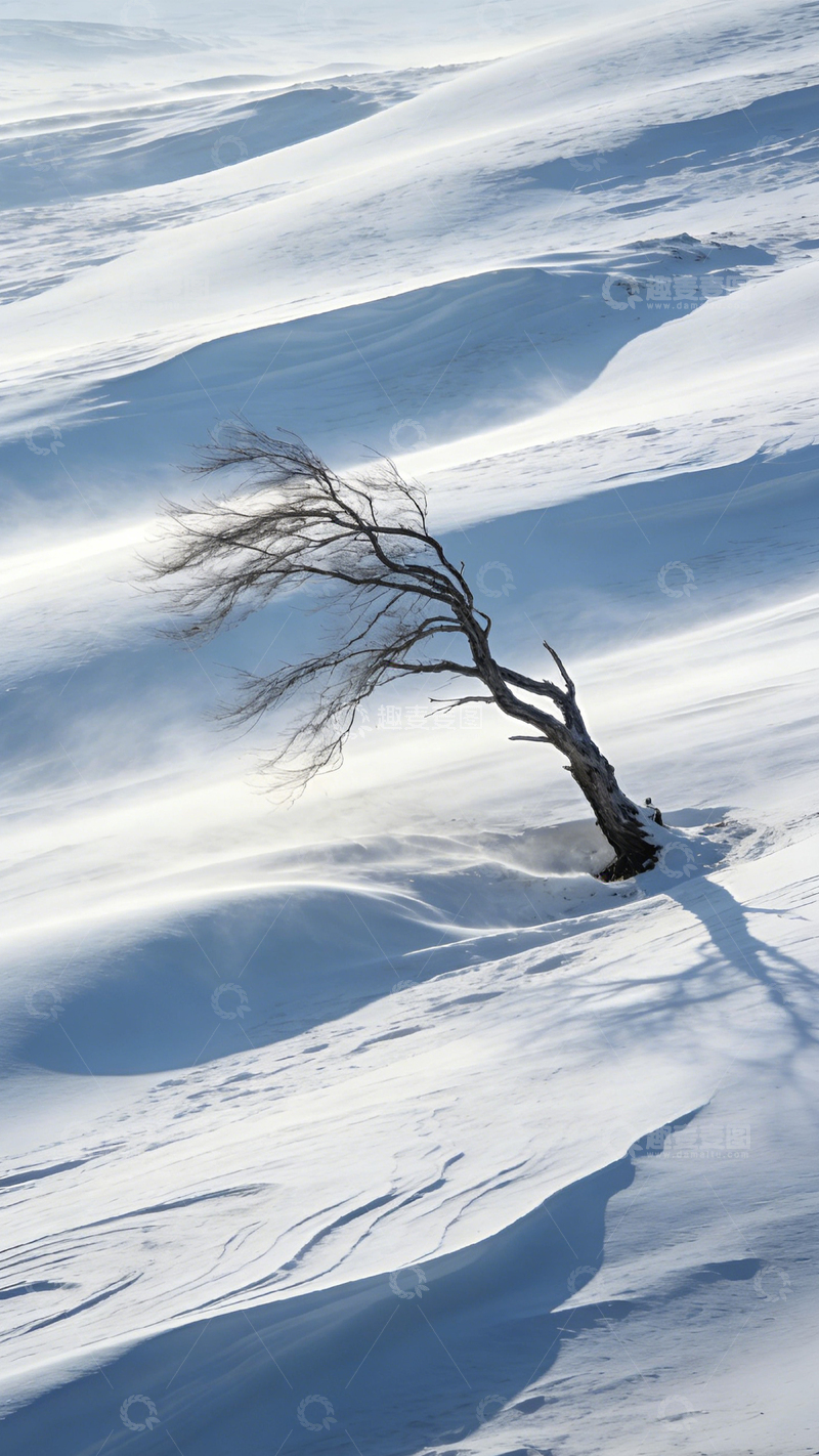 高清大图下载【趣麦麦图】雪野孤树寒风孤寂2