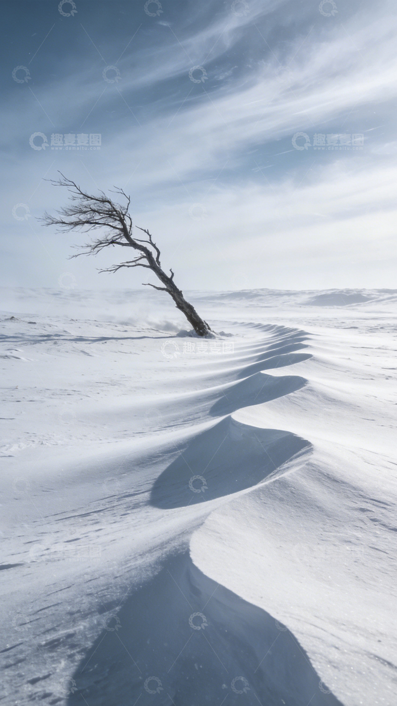 高清大图下载【趣麦麦图】雪野孤树寒风孤寂1