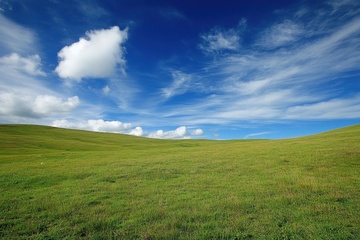 广阔的大草原美景