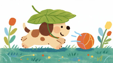 荷叶帽小狗追球的草地时光