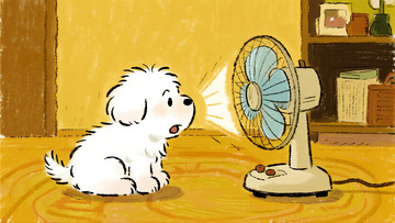 夏日小狗吹风扇消暑日常