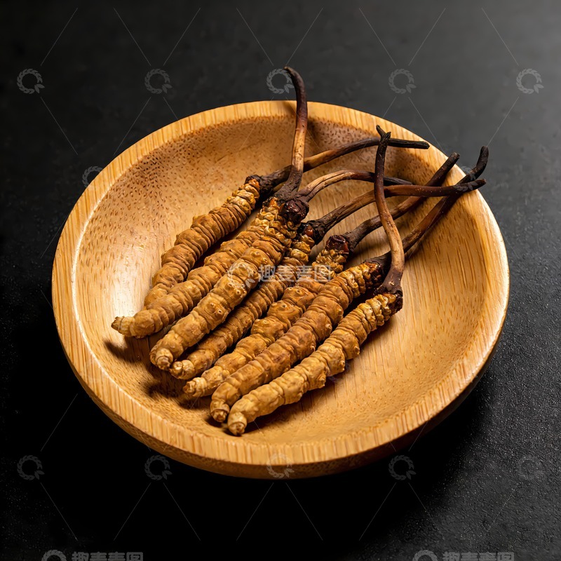 高清大图下载【趣麦麦图】一盘冬虫夏草