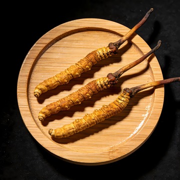 三根冬虫夏草