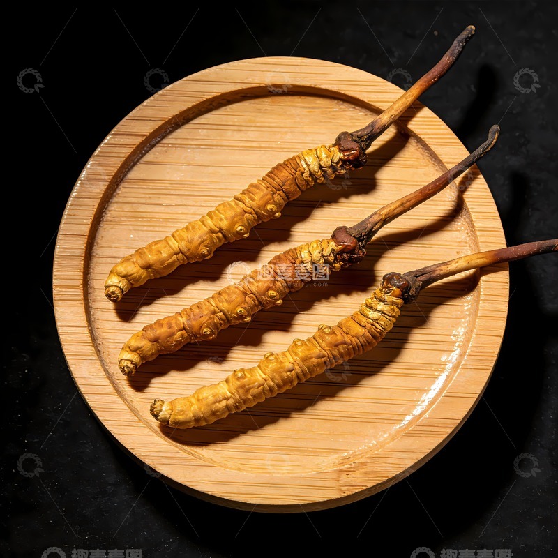 高清大图下载【趣麦麦图】三根冬虫夏草