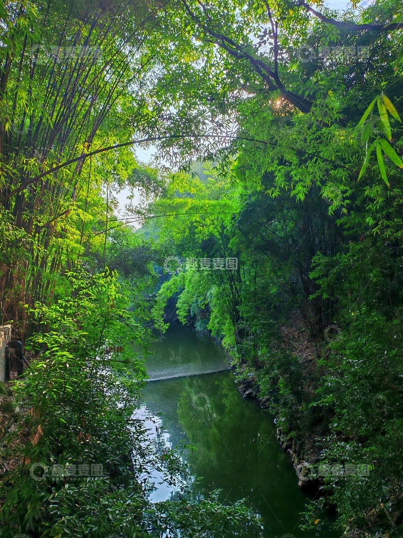 高清大图下载【趣麦麦图】-翠绿溪流森林景观自然风光