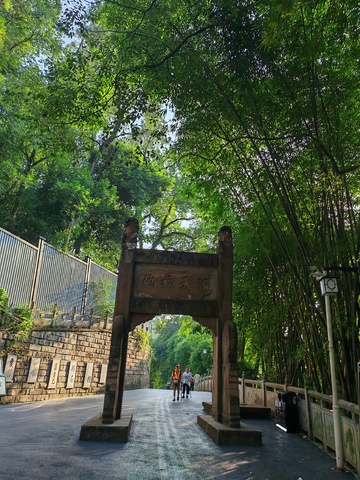 古韵牌坊竹林小道