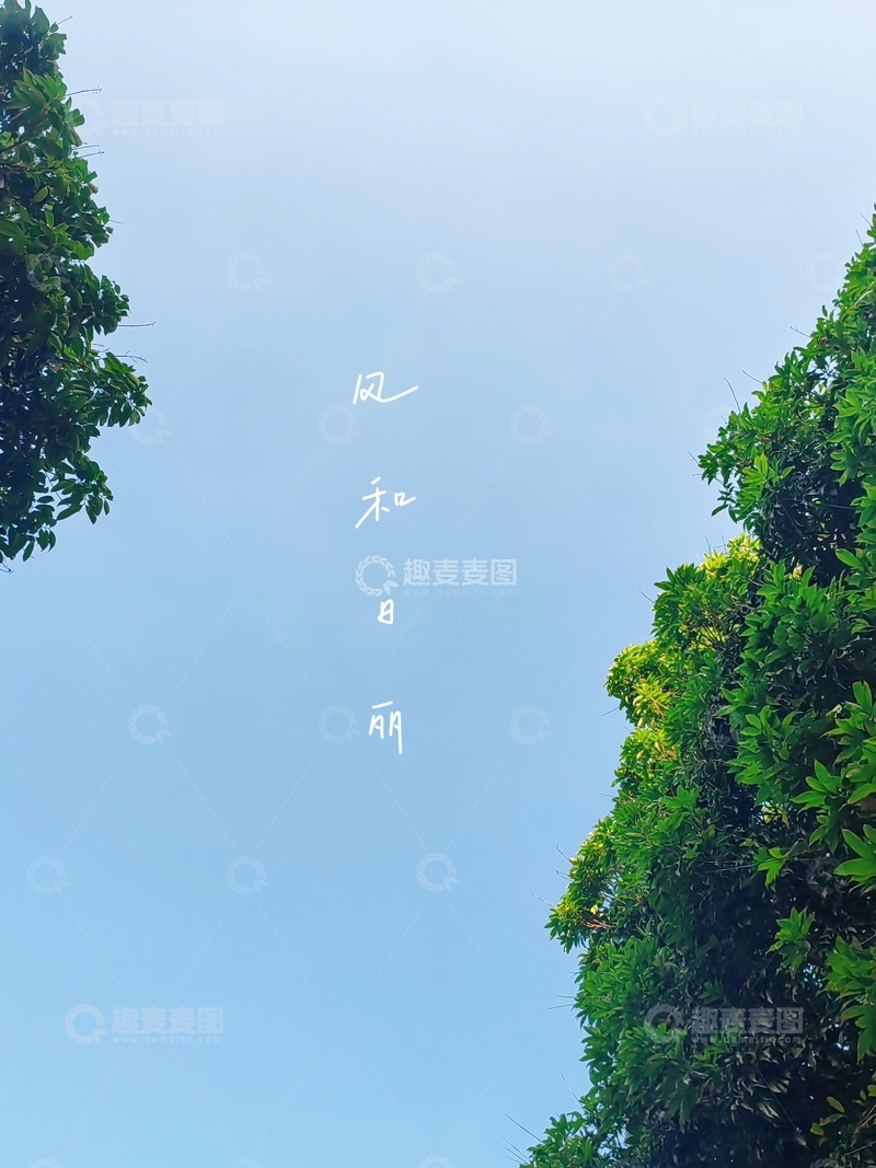 高清大图下载【趣麦麦图】风和日丽绿意盎然手机壁纸高清