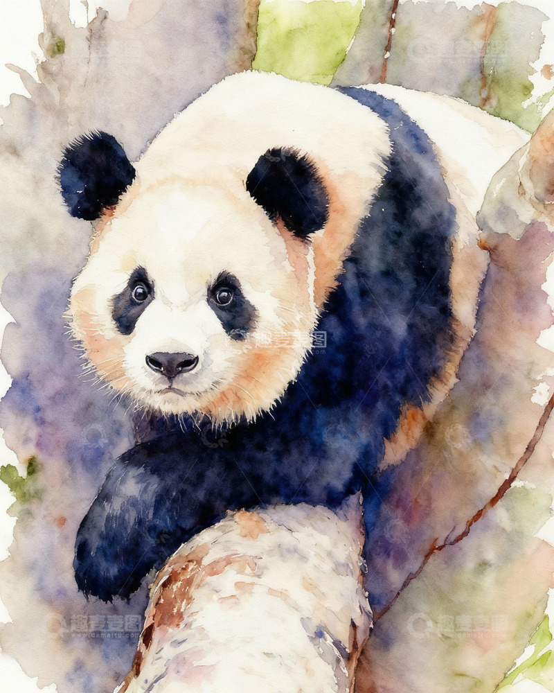 高清大图下载【趣麦麦图】水彩熊猫动物绘画作品