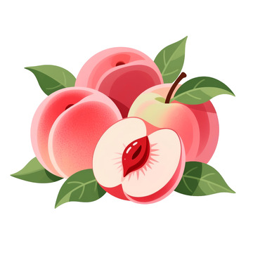 手绘风格水蜜桃插画透明PNG