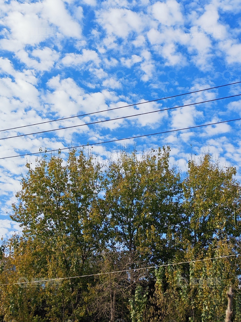 高清大图下载【趣麦麦图】蓝天白云和树林