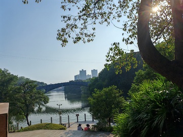 城市公园湖景风光摄影