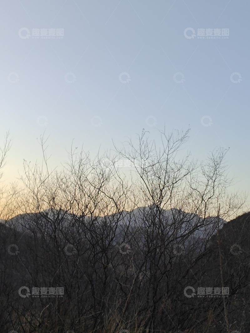 高清大图下载【趣麦麦图】-冬枝山影1111