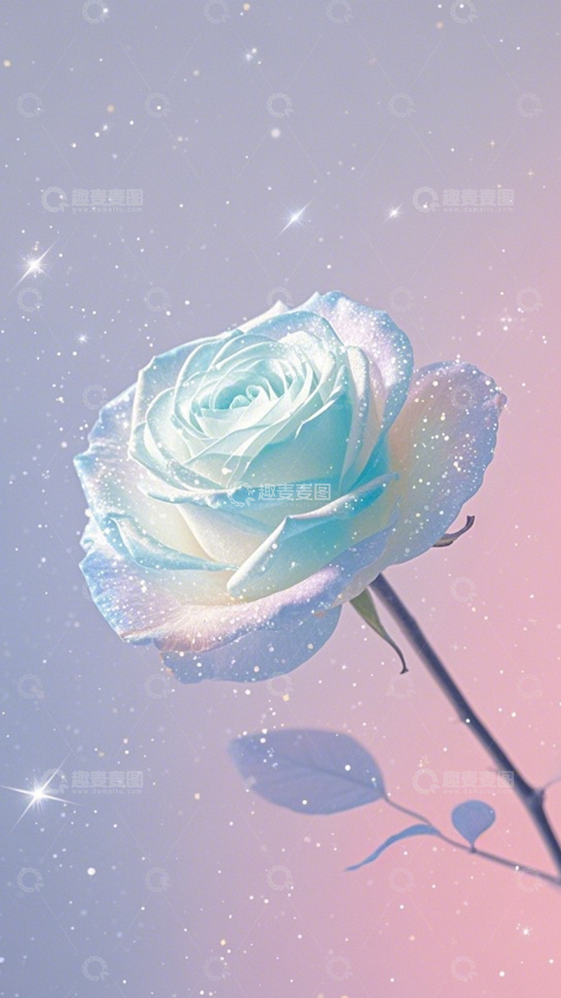 高清大图下载【趣麦麦图】星尘玫瑰梦幻浪漫