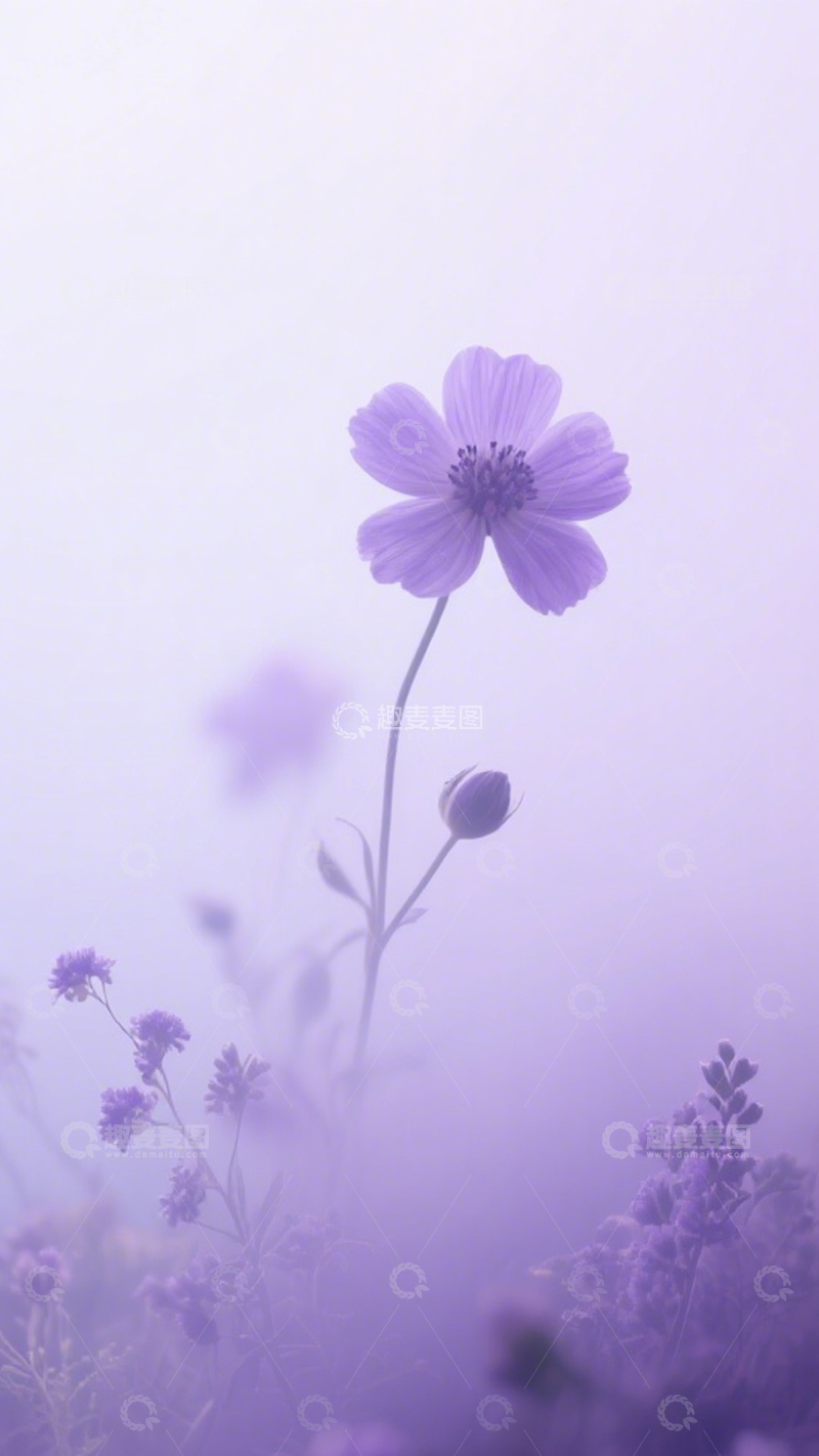 高清大图下载【趣麦麦图】紫雾花境梦幻柔和2