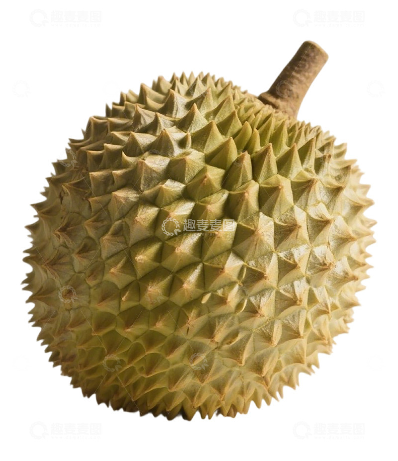 高清大图下载【趣麦麦图】逼真榴莲特写水果摄影素材