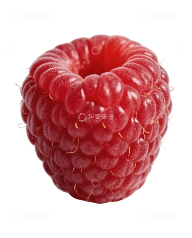 高清大图下载【趣麦麦图】鲜艳红树莓特写美食摄影