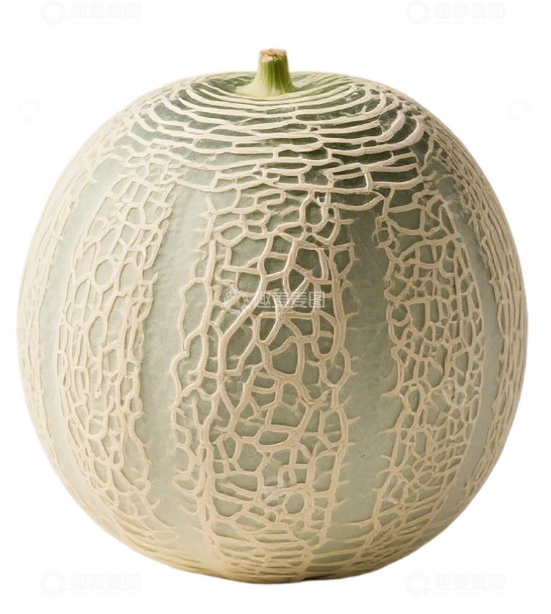 高清大图下载【趣麦麦图】网纹瓜特写展示图