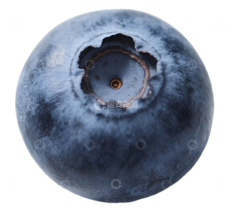 高清大图下载【趣麦麦图】高清蓝莓特写水果摄影