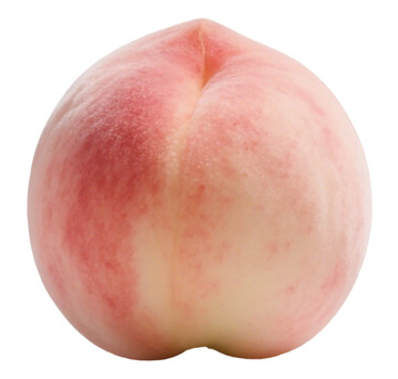 新鲜桃子水果特写摄影图片