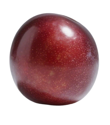 红色李子特写摄影图片