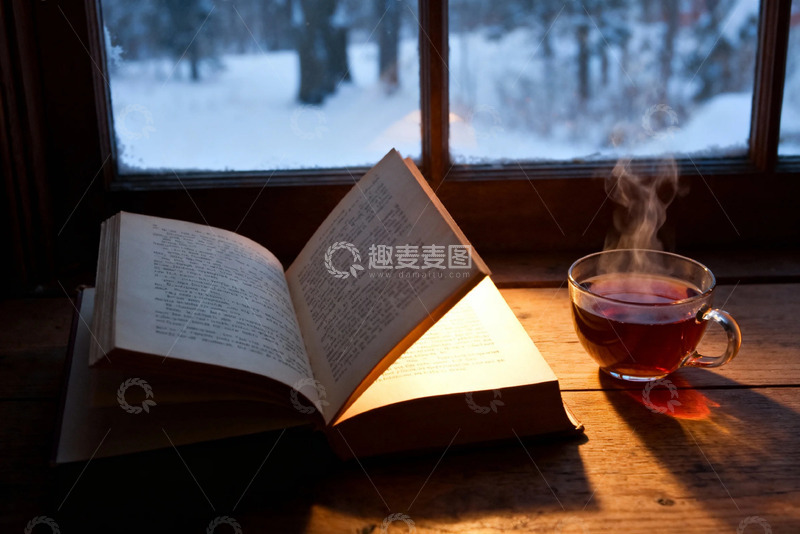 高清大图下载【趣麦麦图】冬日阅读时光